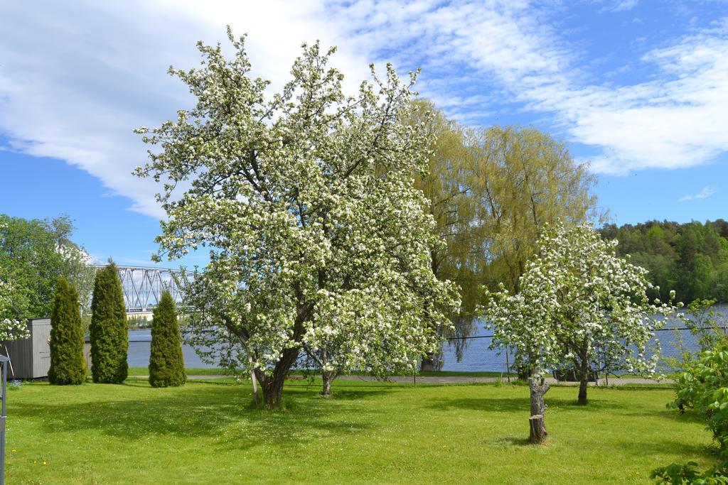 Lossiranta Lodge Savonlinna Exterior photo